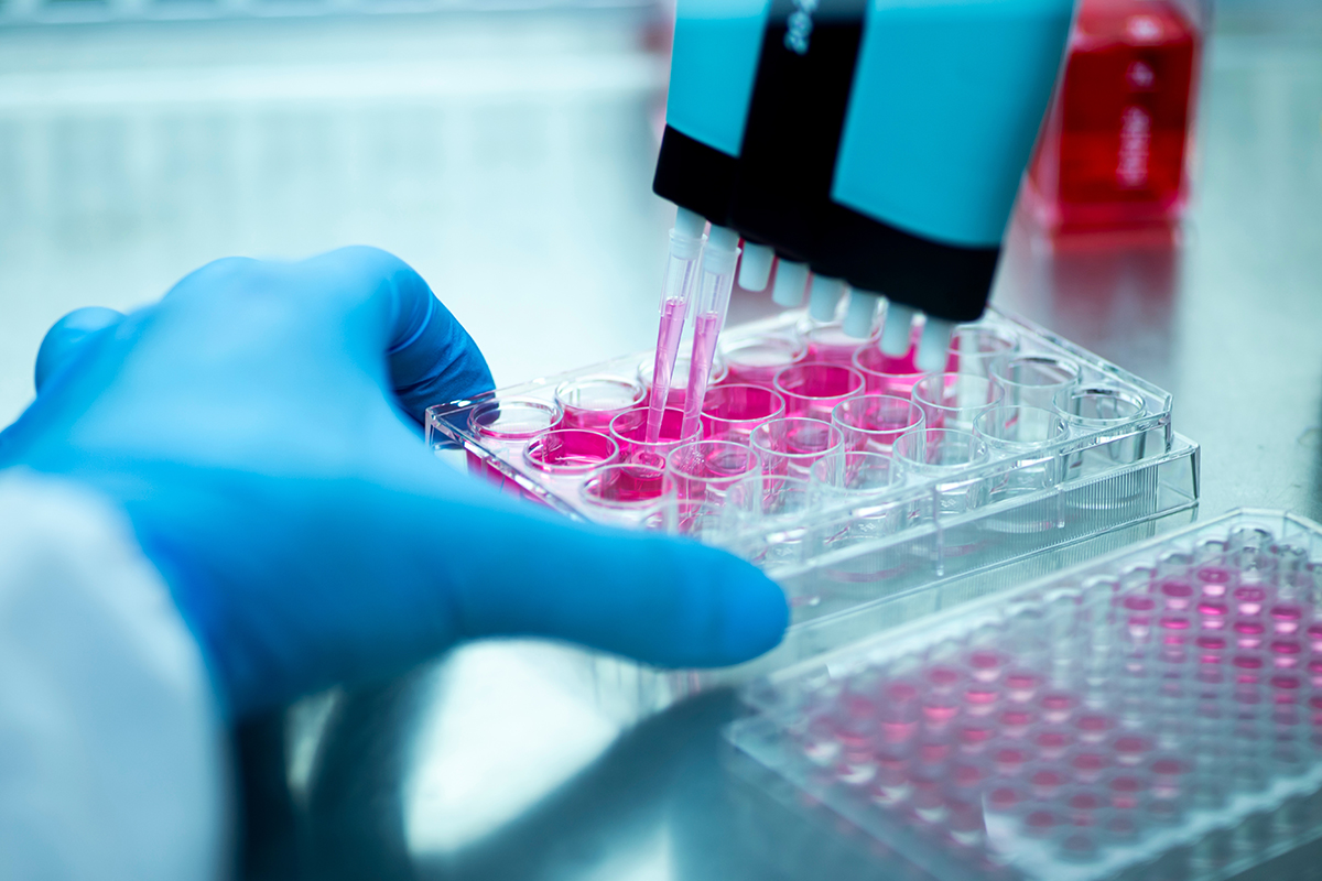 Integrated IVDR, FDA, and ISO Support Across the Total Product Life Cycle